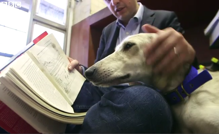 This dog qualified for a degree in business administration when the BBC applied on its behalf