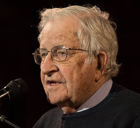 Noam Chomsky: advisory role